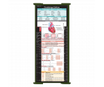 WhiteCoat Clipboard® Trifold - Army Green Cardiology Edition